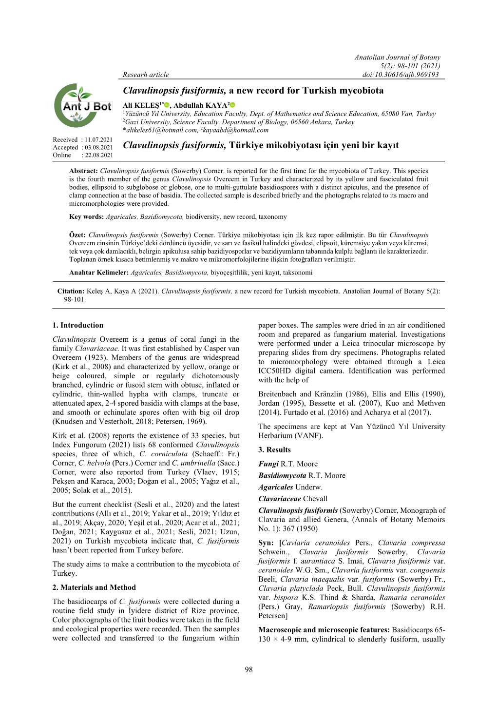 Clavulinopsis Fusiformis, a New Record for Turkish Mycobiota Clavulinopsis