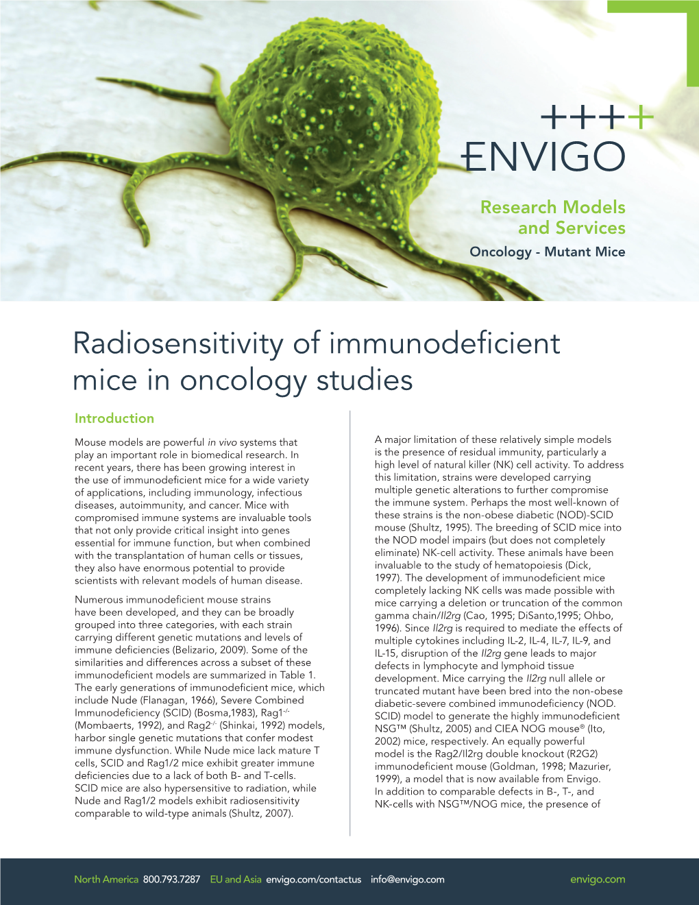 Radiosensitivity of Immunodeficient Mice in Oncology Studies