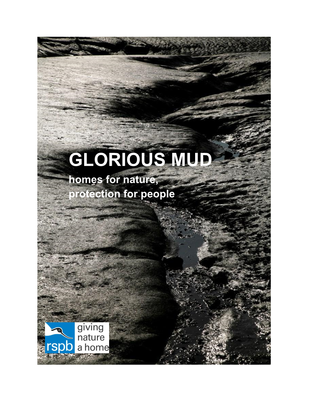 GLORIOUS MUD Homes for Nature, Protection for People