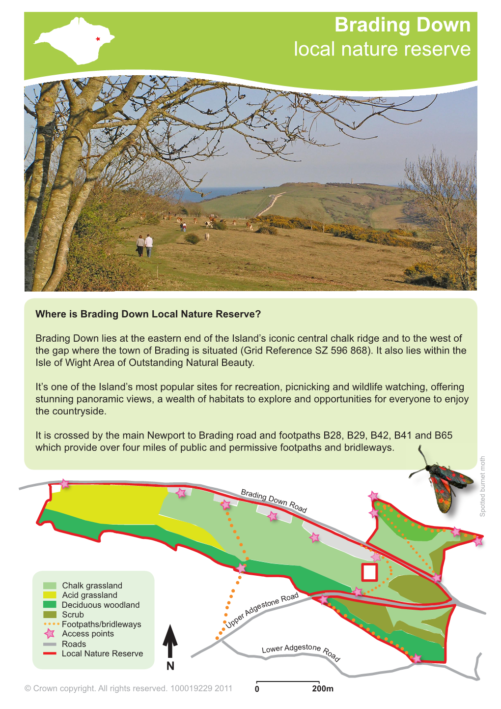 Brading Down Local Nature Reserve