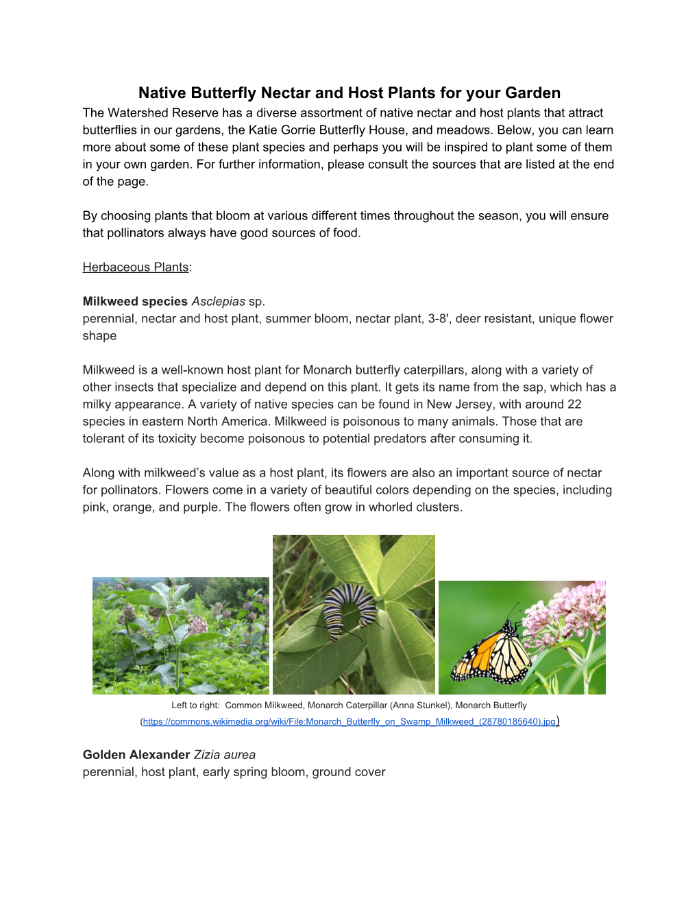 Native Butterfly Nectar and Host Plants for Your Garden