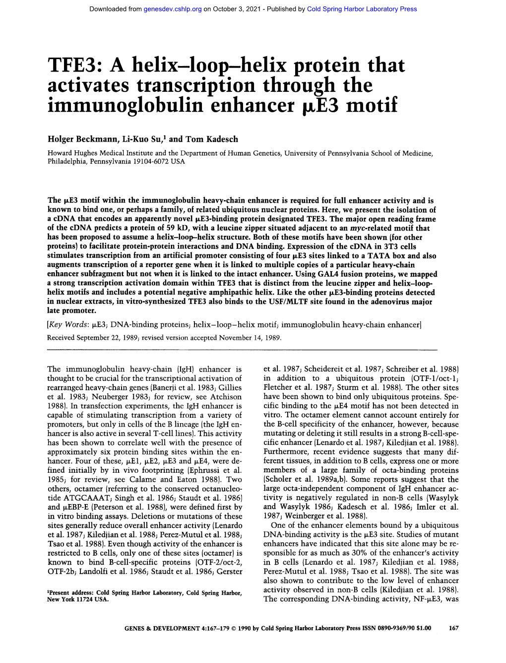 TFE3: a Helix-Loop-Helix Protein That Activates Transcription Through the Immunoglobulin Enhancer Ixe3 Motif