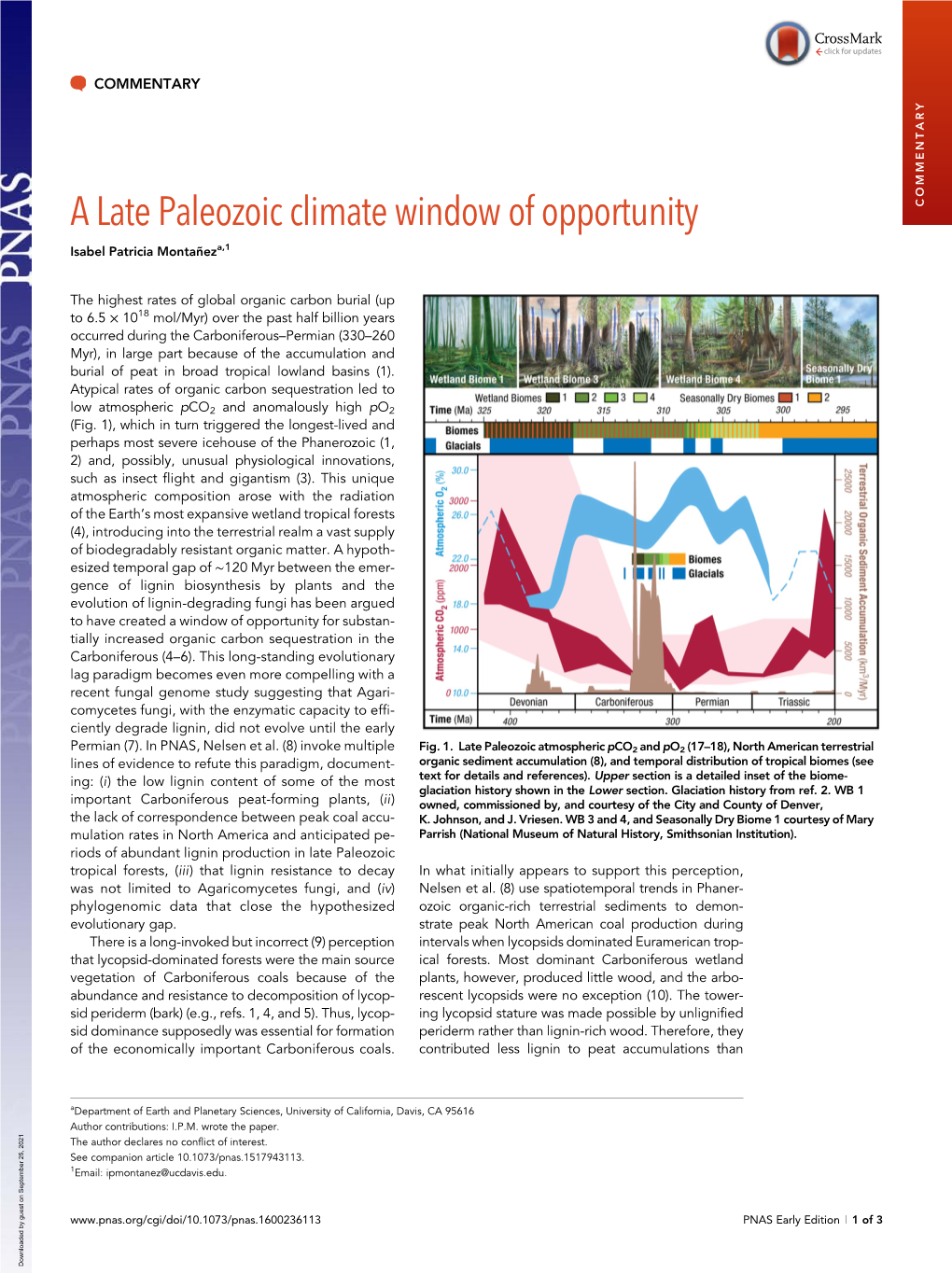 A Late Paleozoic Climate Window of Opportunity COMMENTARY