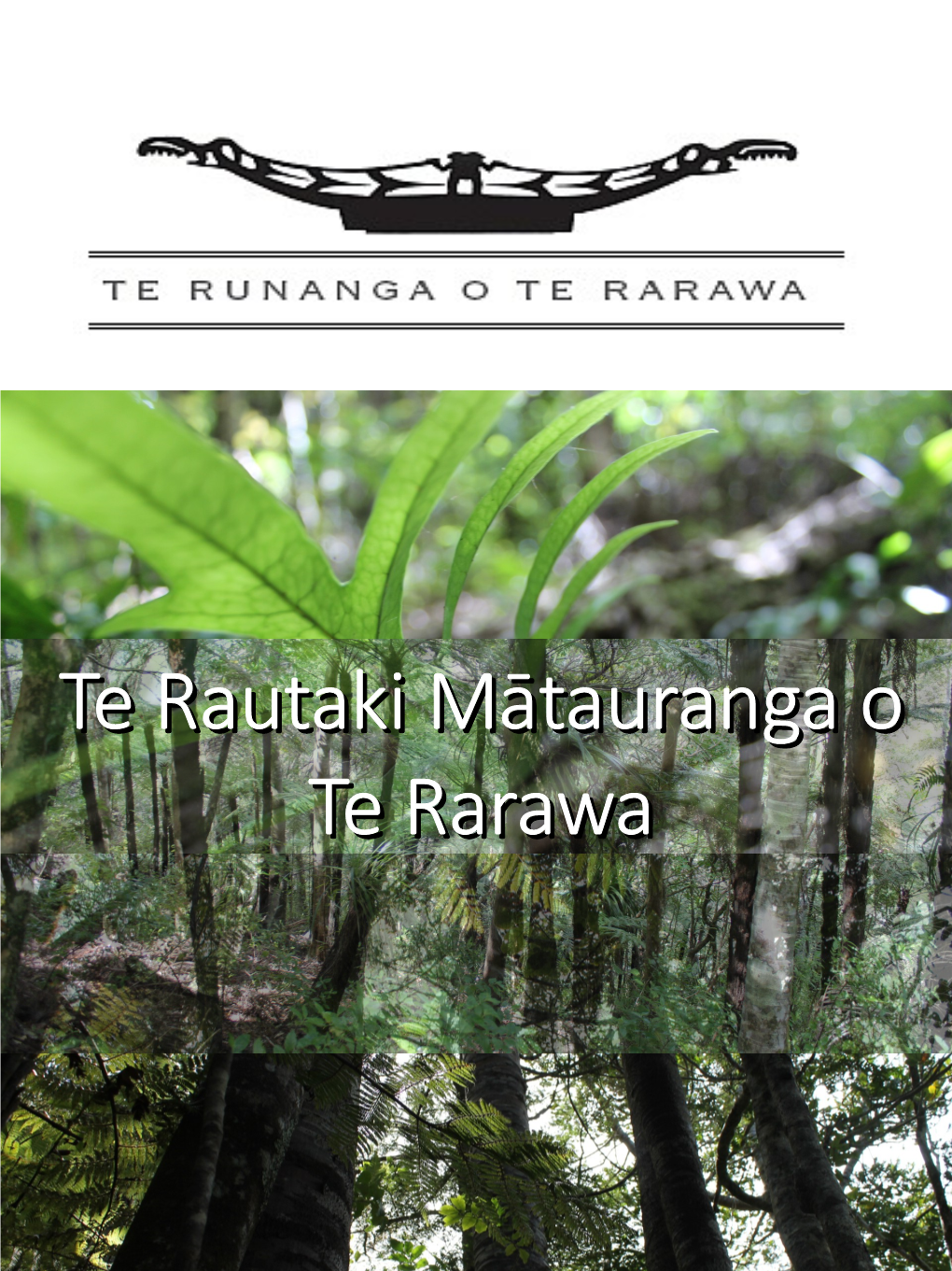 Te Rautaki Mātauranga O Te Rarawa Has Been Developed Alongside Te Rautaki Reo O Te Rarawa – the Te Rarawa Reo Strategy