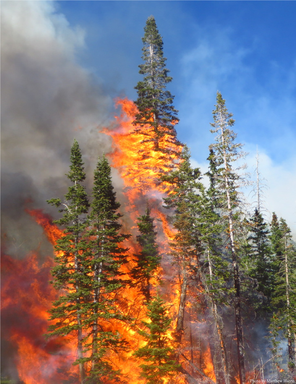 Photo by Matthew Harris a Quantitative Approach to Living Sustainably with Wildfire by Alex Harros and Matt Valido, 2017-18 State of the Rockies Project Fellows