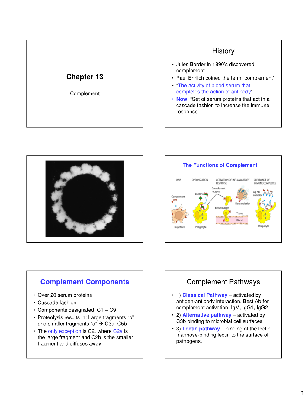 Chapter 13 History Complement Components Complement Pathways