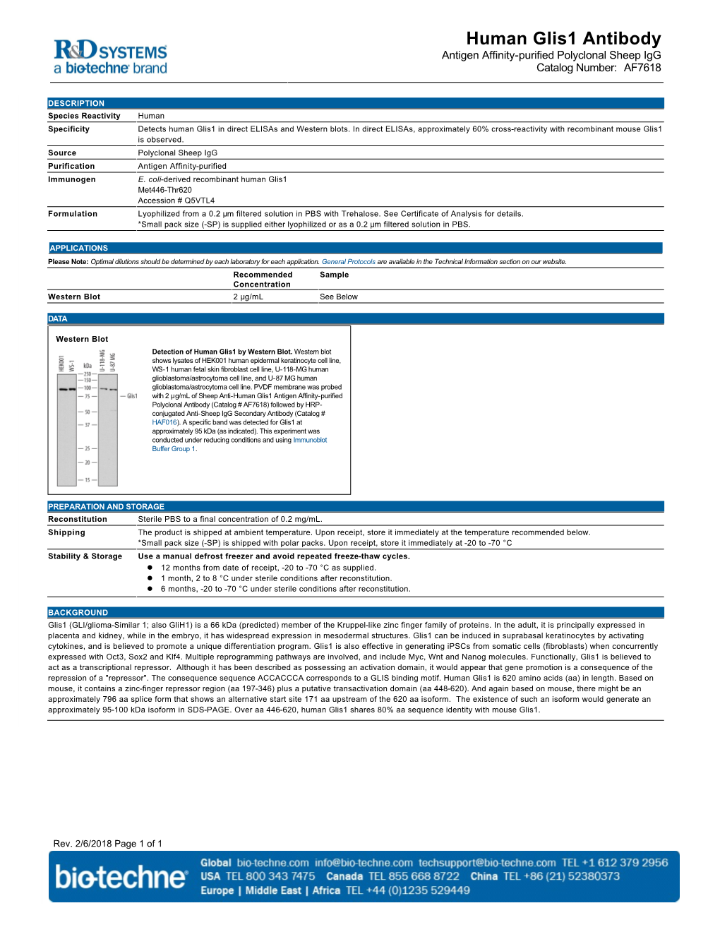 Human Glis1 Antibody Antigen Affinity-Purified Polyclonal Sheep Igg Catalog Number: AF7618