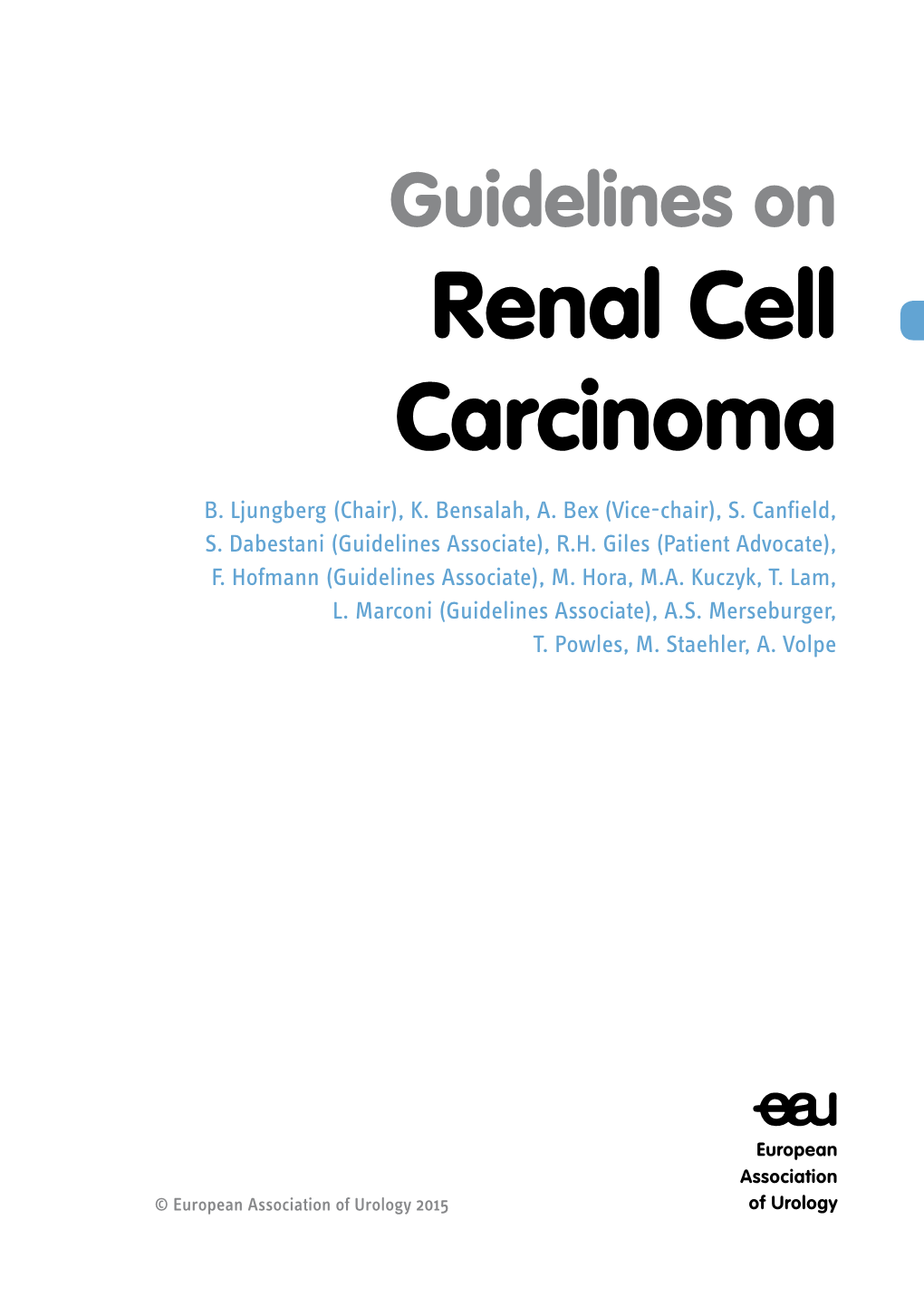 Guidelines for Renal Cell Carcinoma (2014 Update)