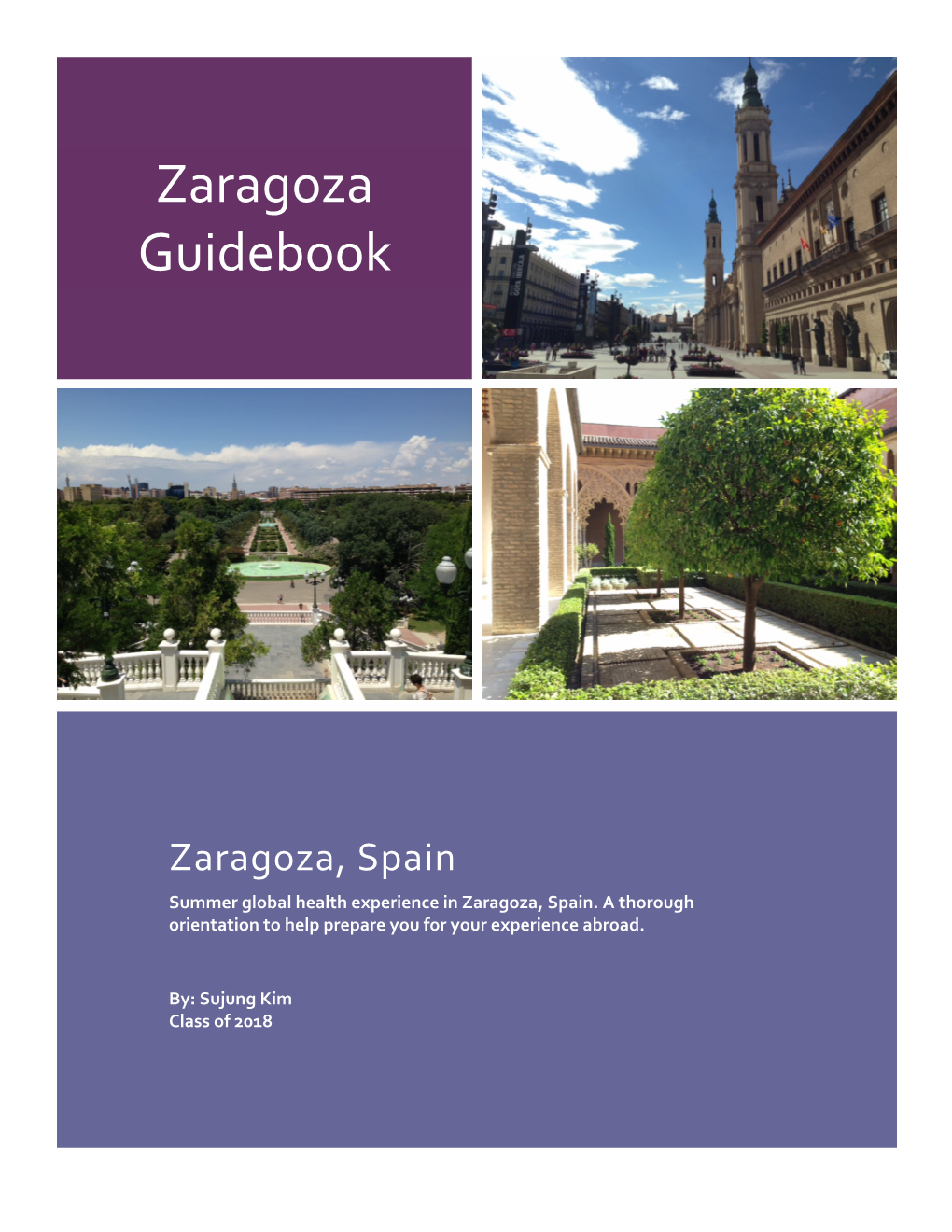 Zaragoza' Guidebook!