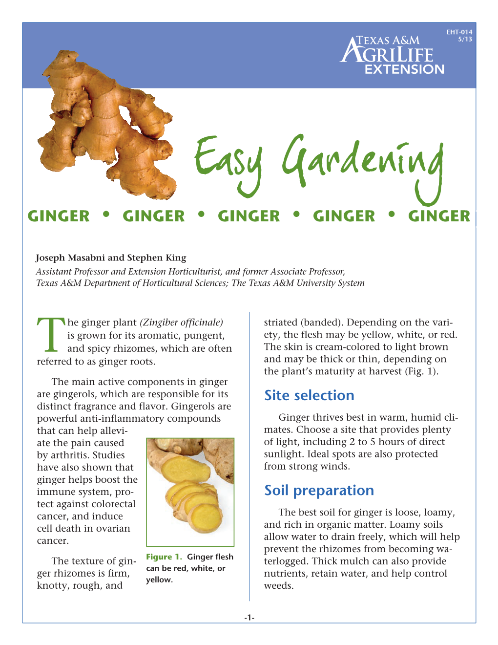 How to Grow Ginger