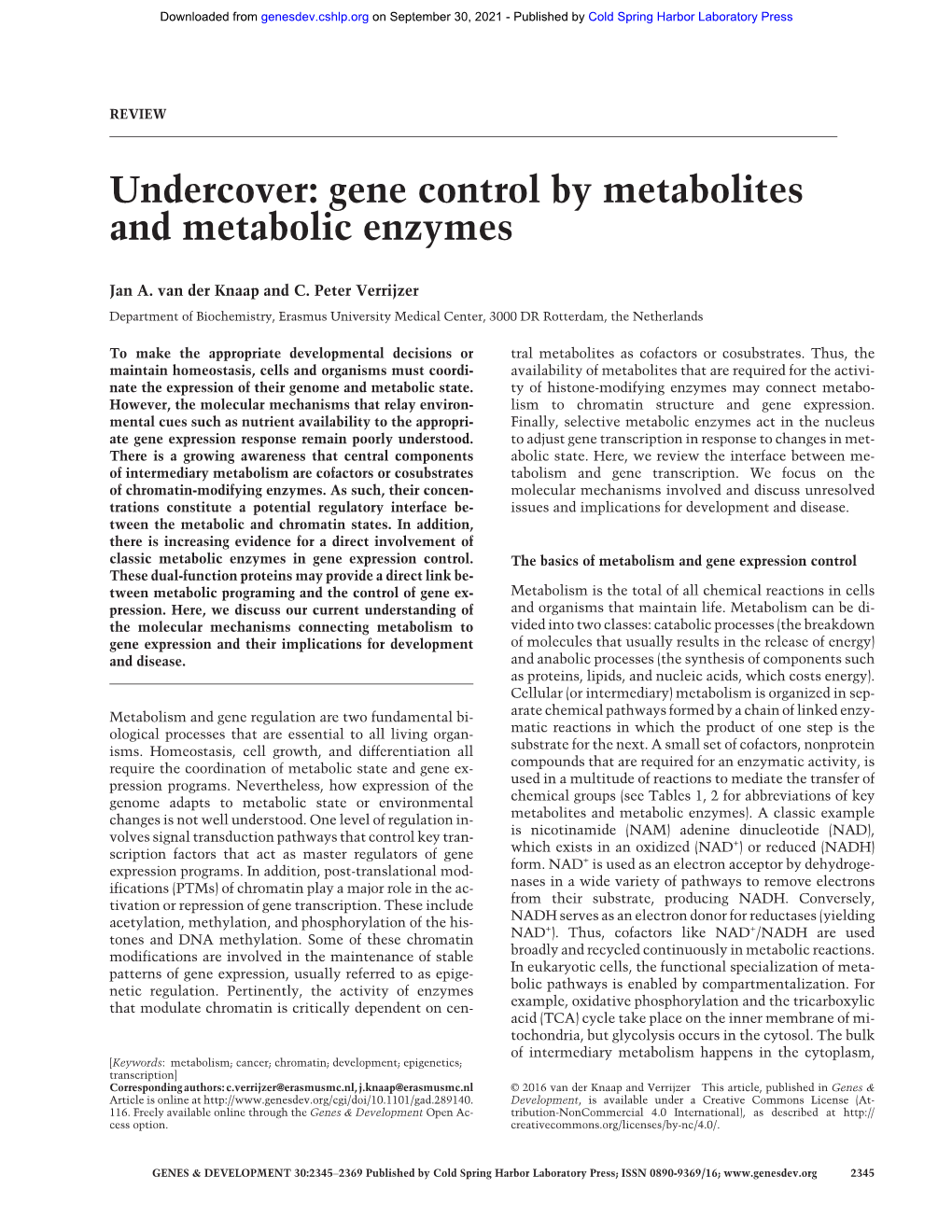 Gene Control by Metabolites and Metabolic Enzymes