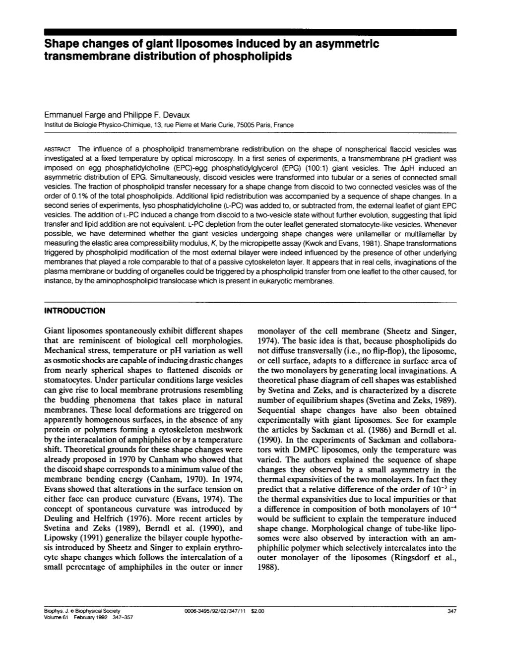 Shape Changes of Giant Liposomes Induced by an Asymmetric Transmembrane Distribution of Phospholipids