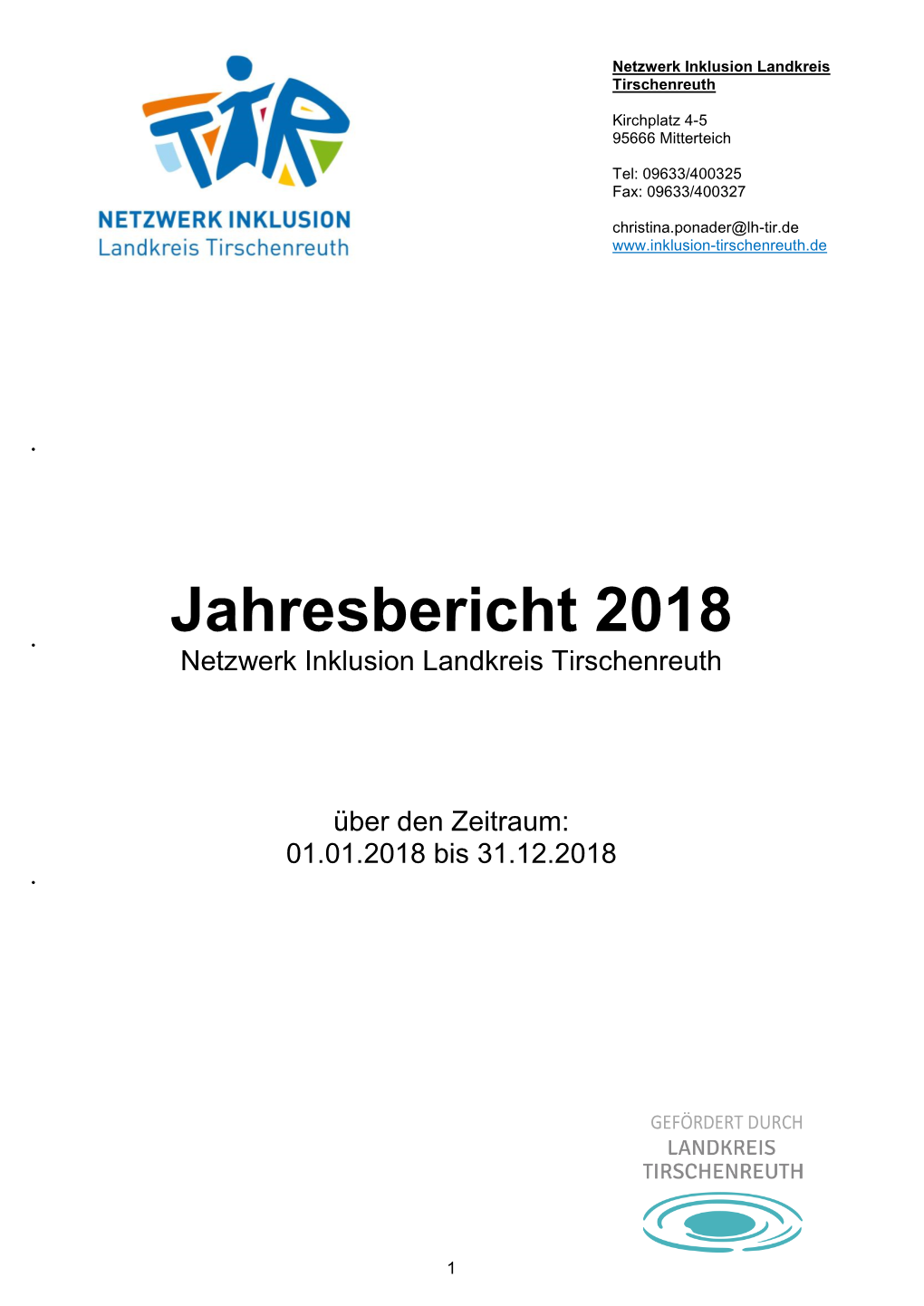 Jahresbericht 2018  Netzwerk Inklusion Landkreis Tirschenreuth