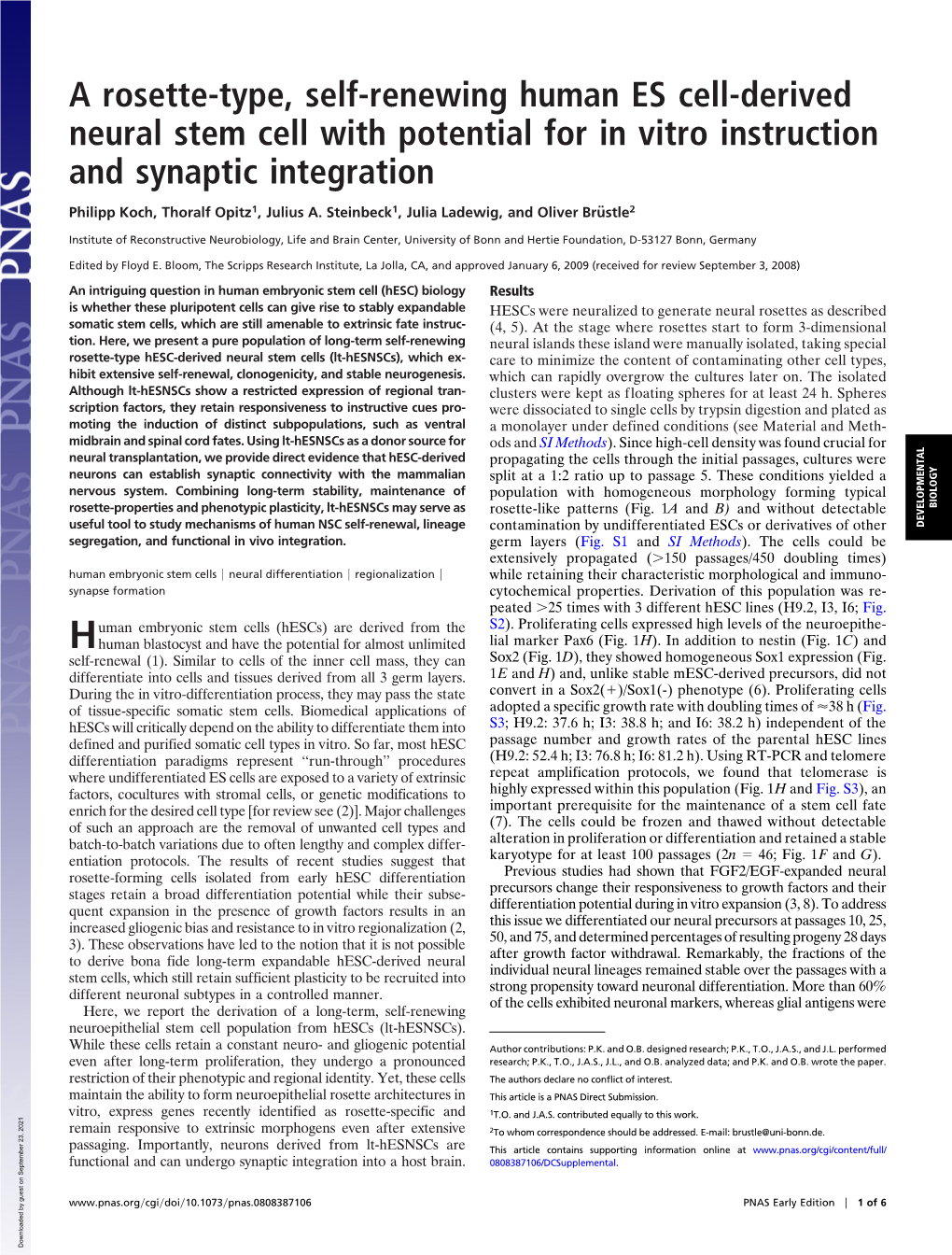 A Rosette-Type, Self-Renewing Human ES Cell-Derived Neural Stem Cell with Potential for in Vitro Instruction and Synaptic Integration