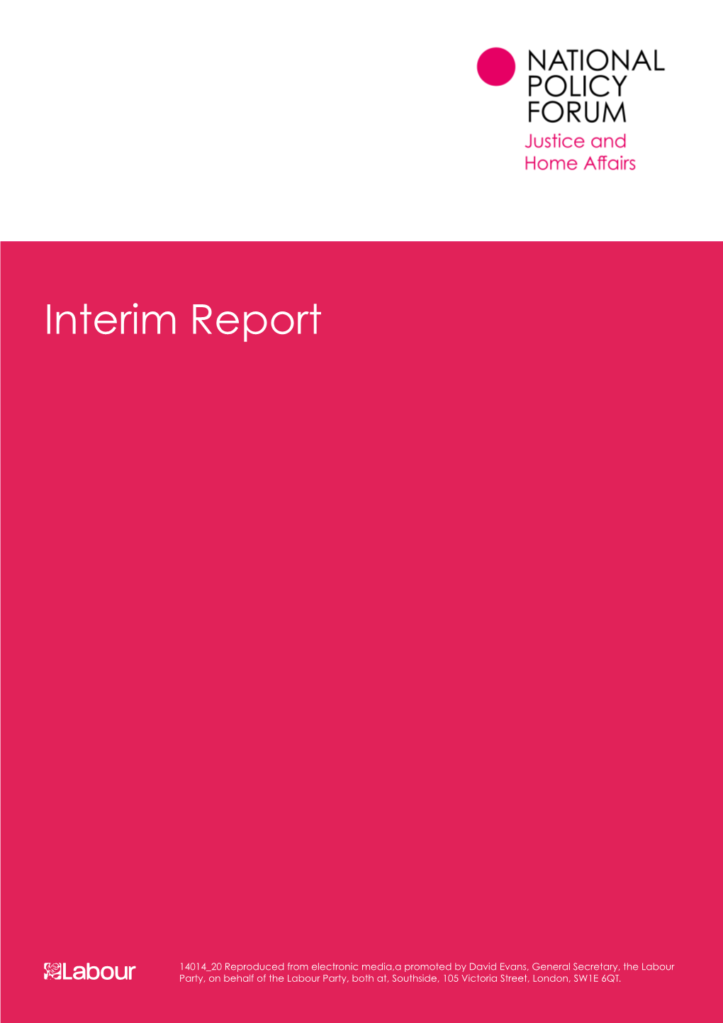 Interim Report