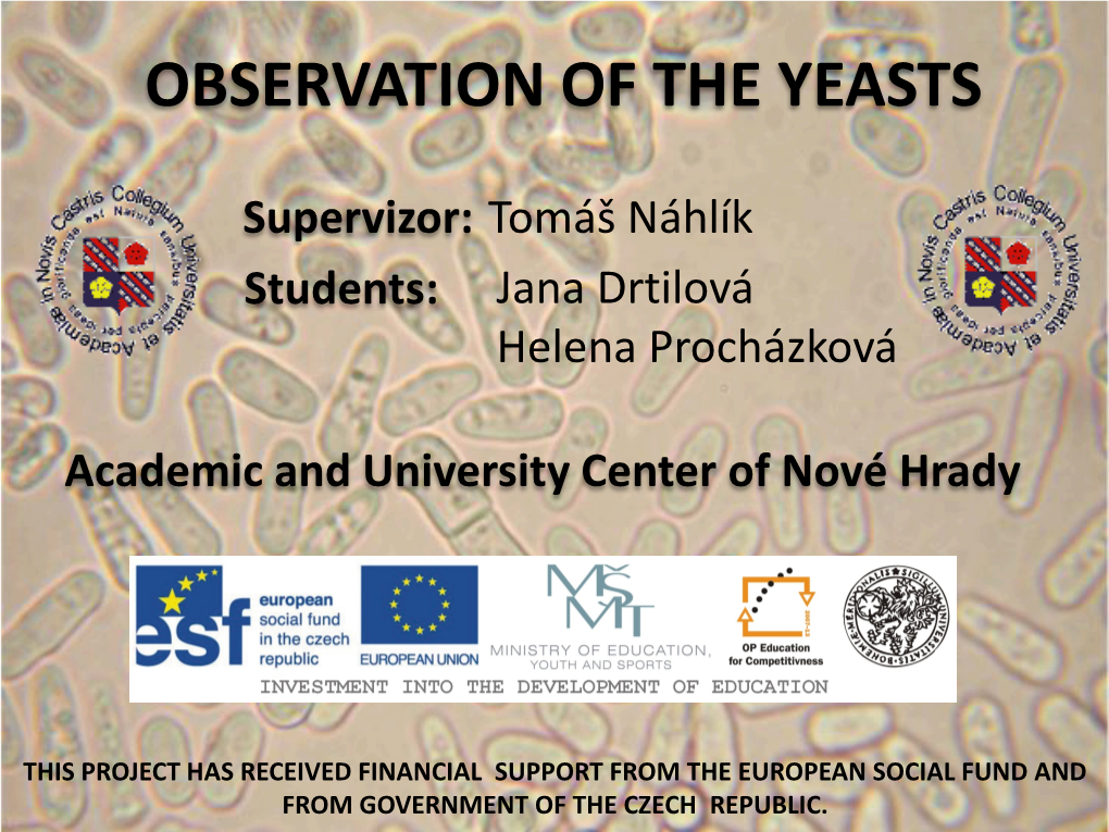 Observation of the Yeasts