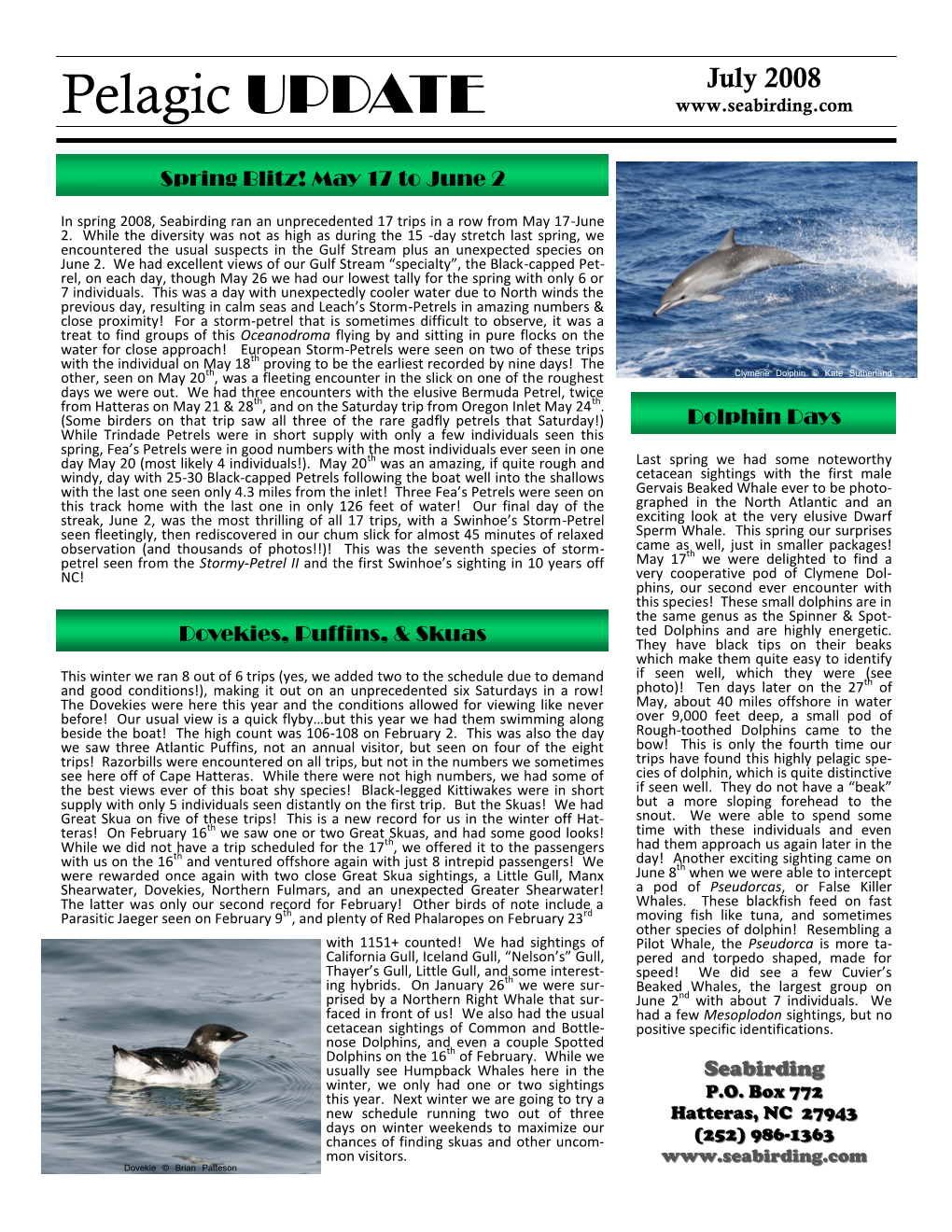 July 2008 Newsletter (Pdf)