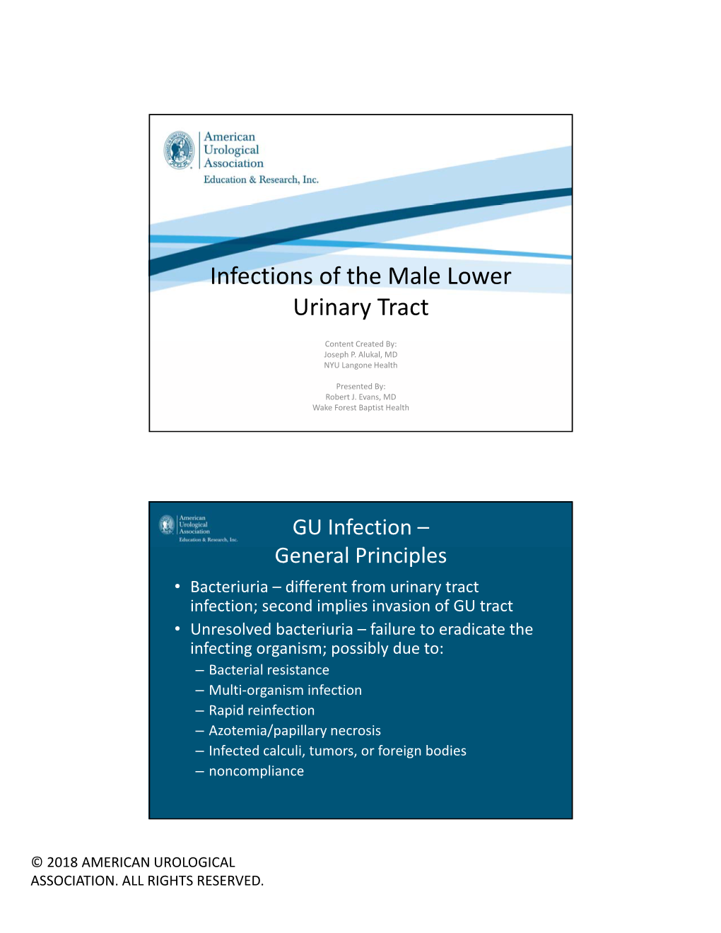 Infections of the Male Lower Urinary Tract