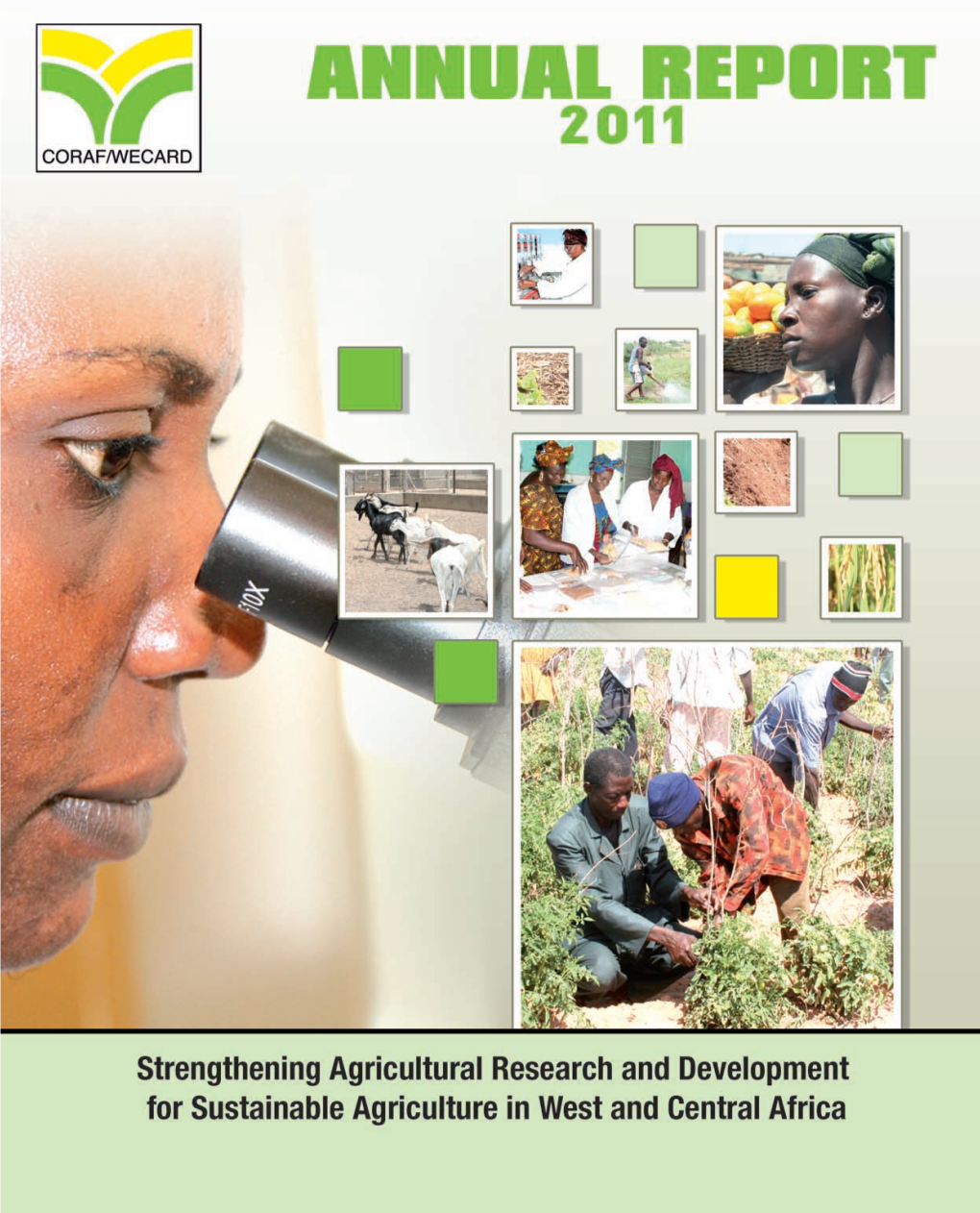 Annual Report 2011