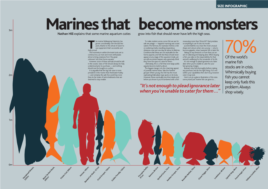 Marine Tankbusters Courtesy of Practical Fishkeeping