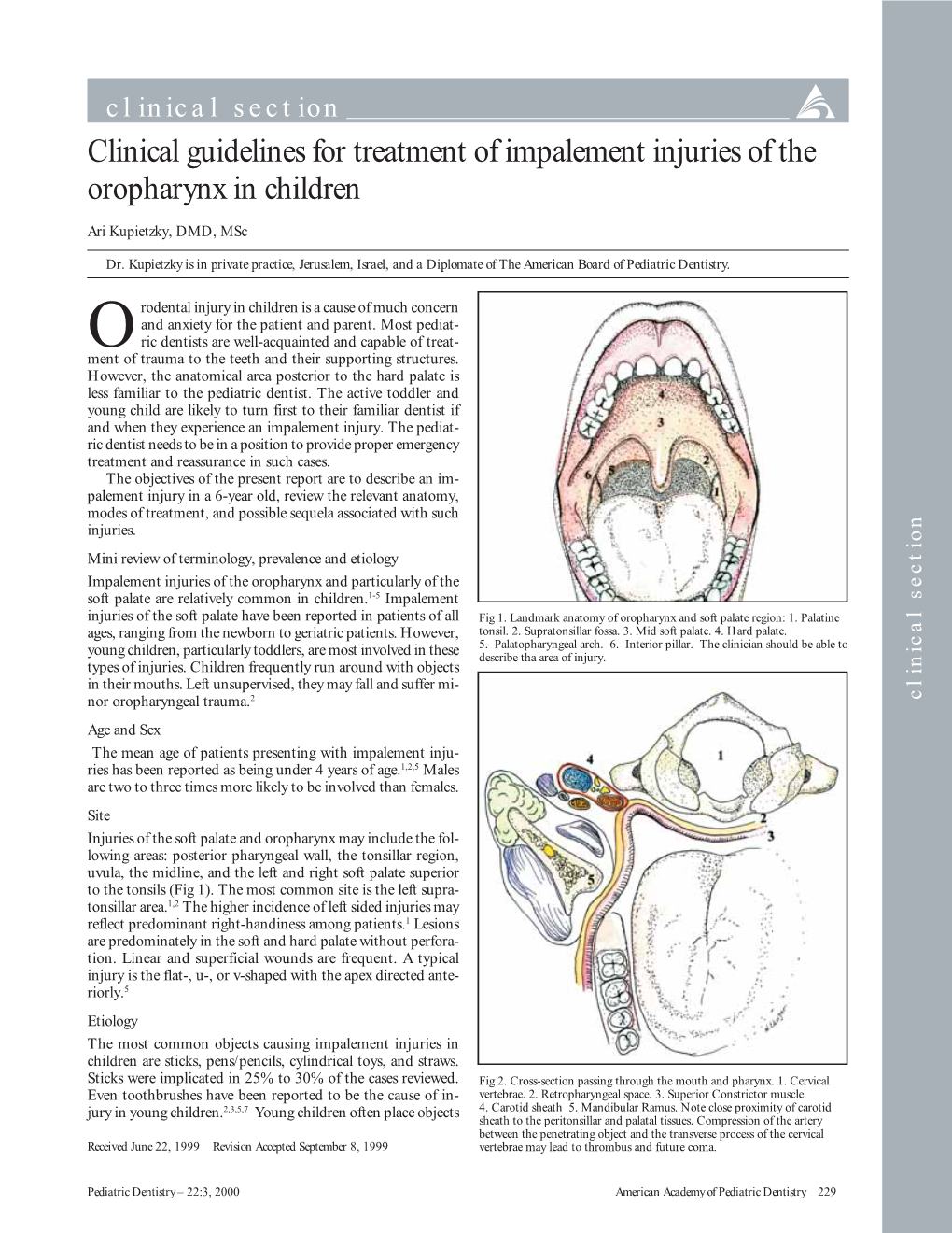 Clinical Guidelines for Treatment of Impalement Injuries of the Oropharynx in Children