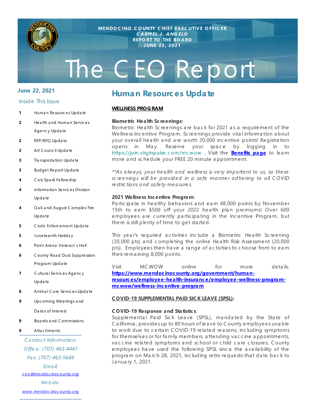 The CEO Report