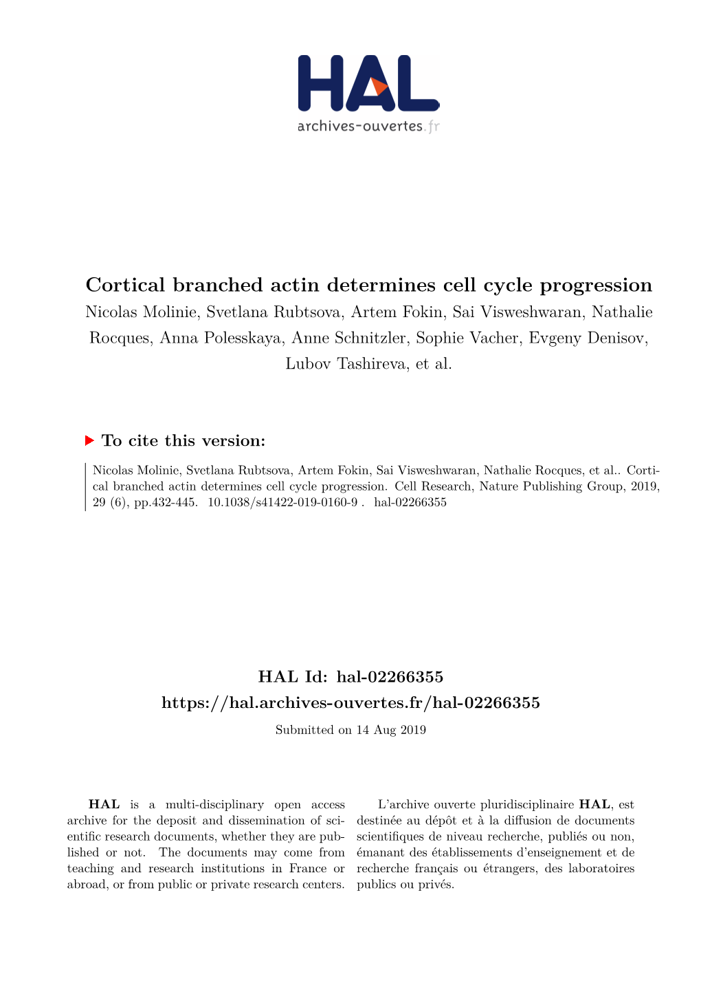 Cortical Branched Actin Determines Cell Cycle