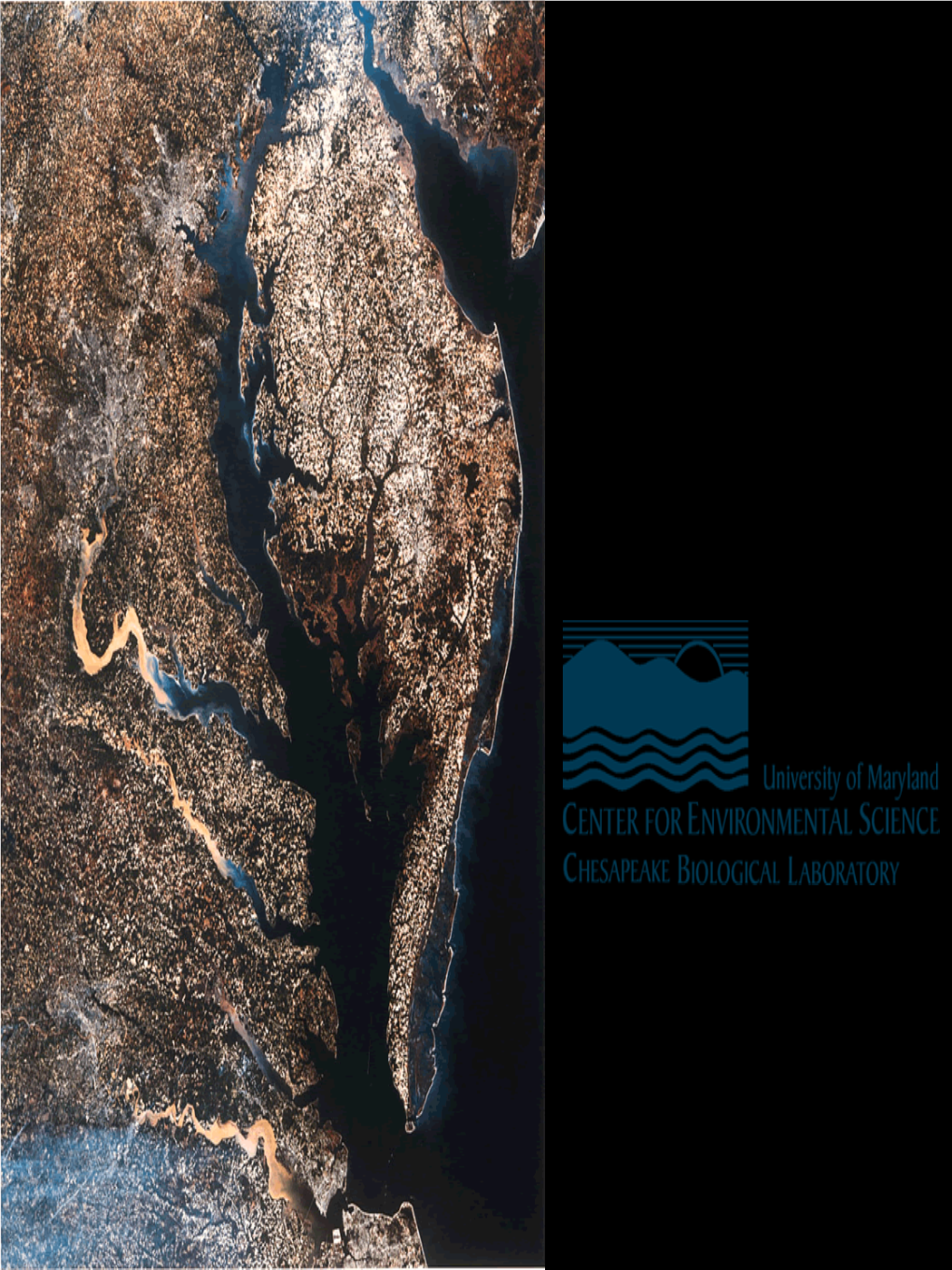 Nutrient Loading and River Responses in Thetidal Potomac