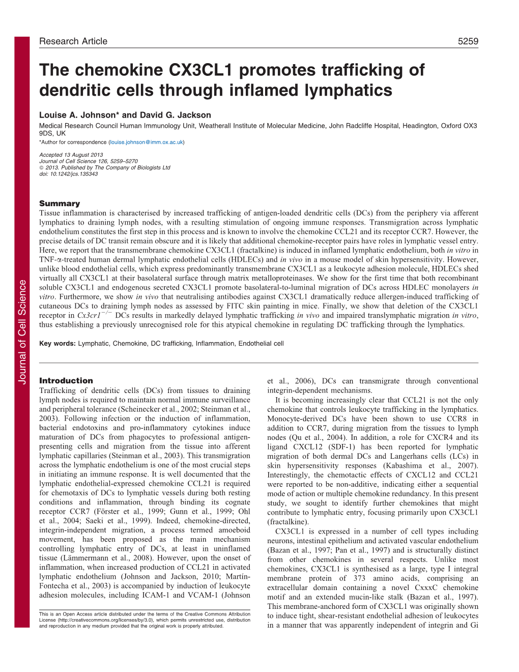 The Chemokine CX3CL1 Promotes Trafficking of Dendritic Cells