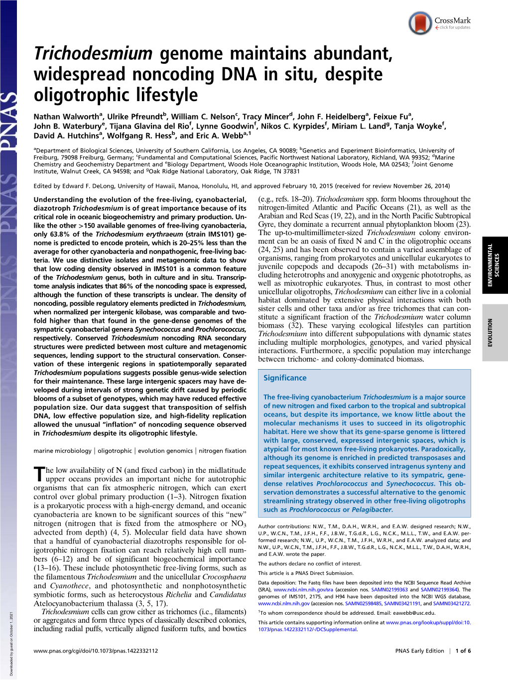 Trichodesmium Genome Maintains Abundant, Widespread Noncoding DNA in Situ, Despite Oligotrophic Lifestyle