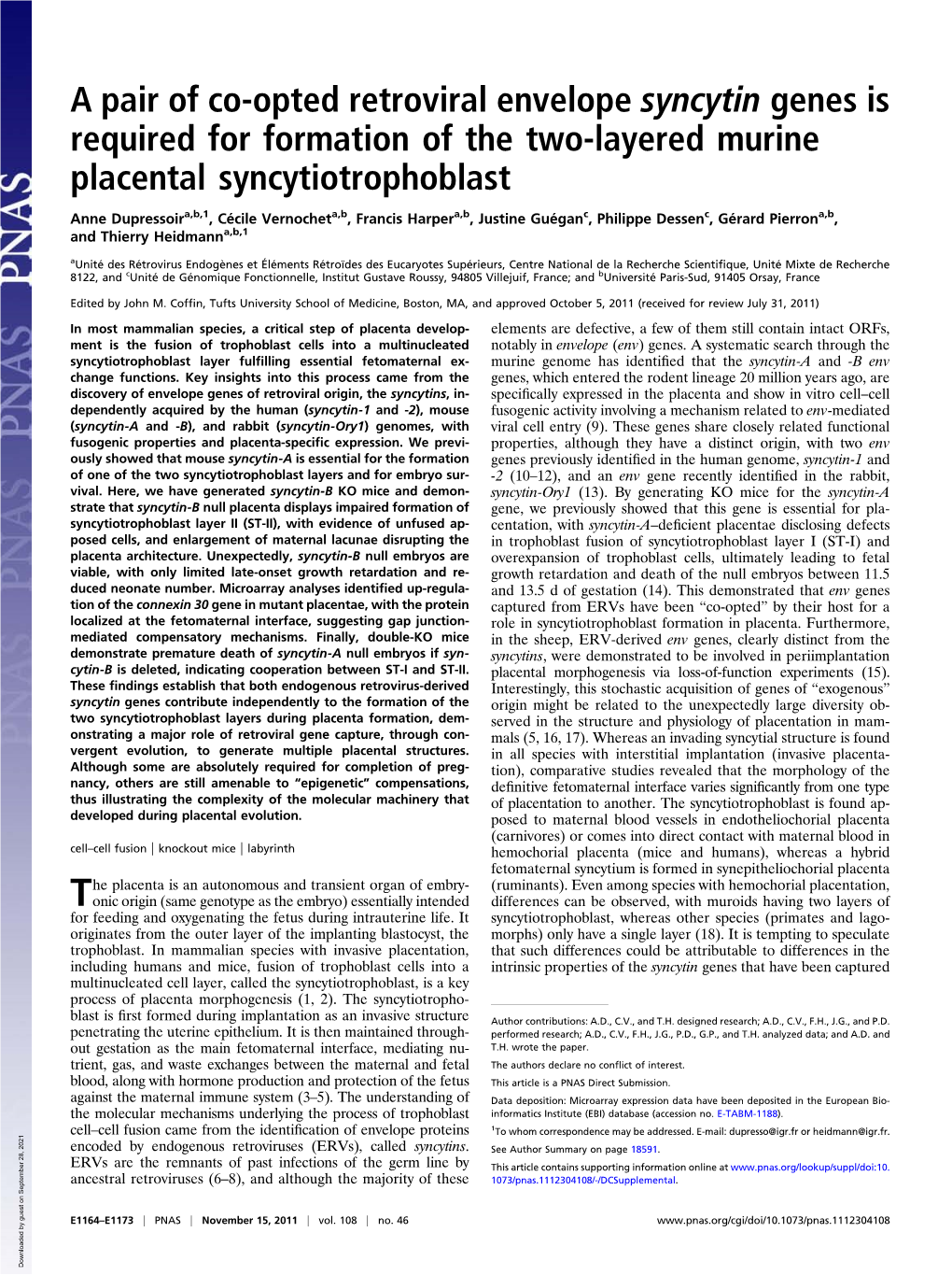 A Pair of Co-Opted Retroviral Envelope Syncytin Genes Is Required for Formation of the Two-Layered Murine Placental Syncytiotrophoblast