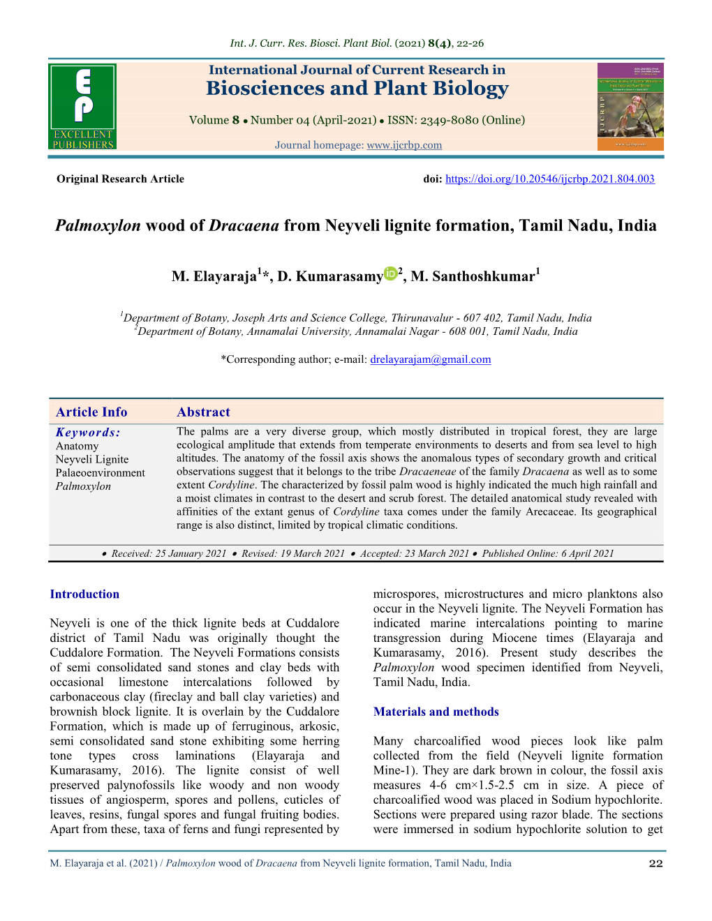 Palmoxylon Wood of Dracaena from Neyveli Lignite Formation, Tamil Nadu, India