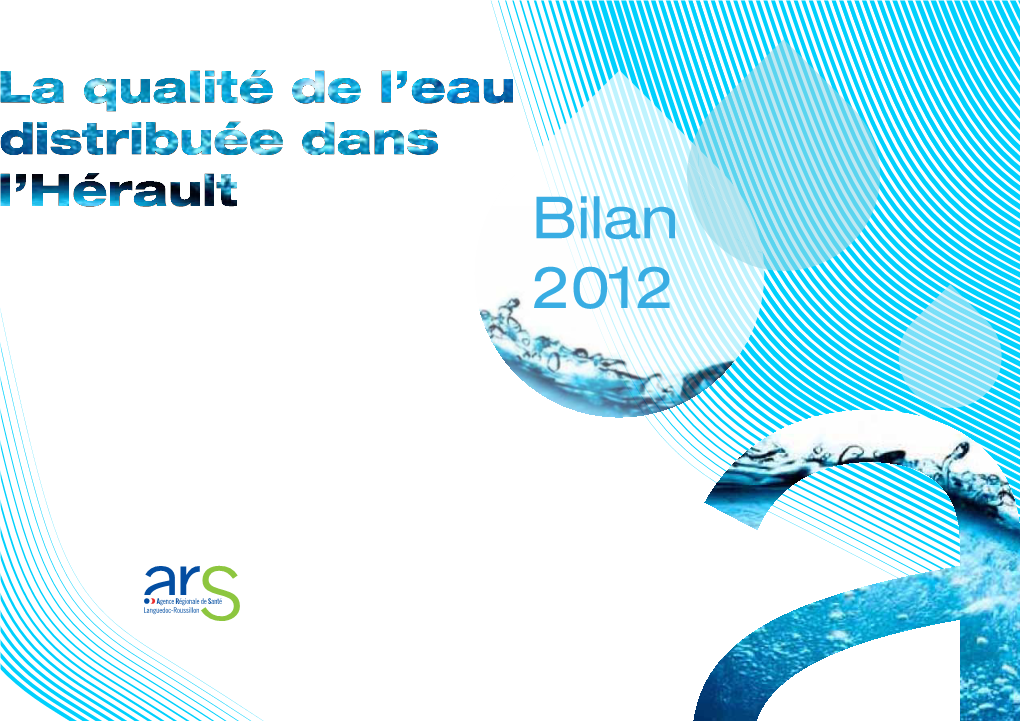 Bilan 2012 INDEX