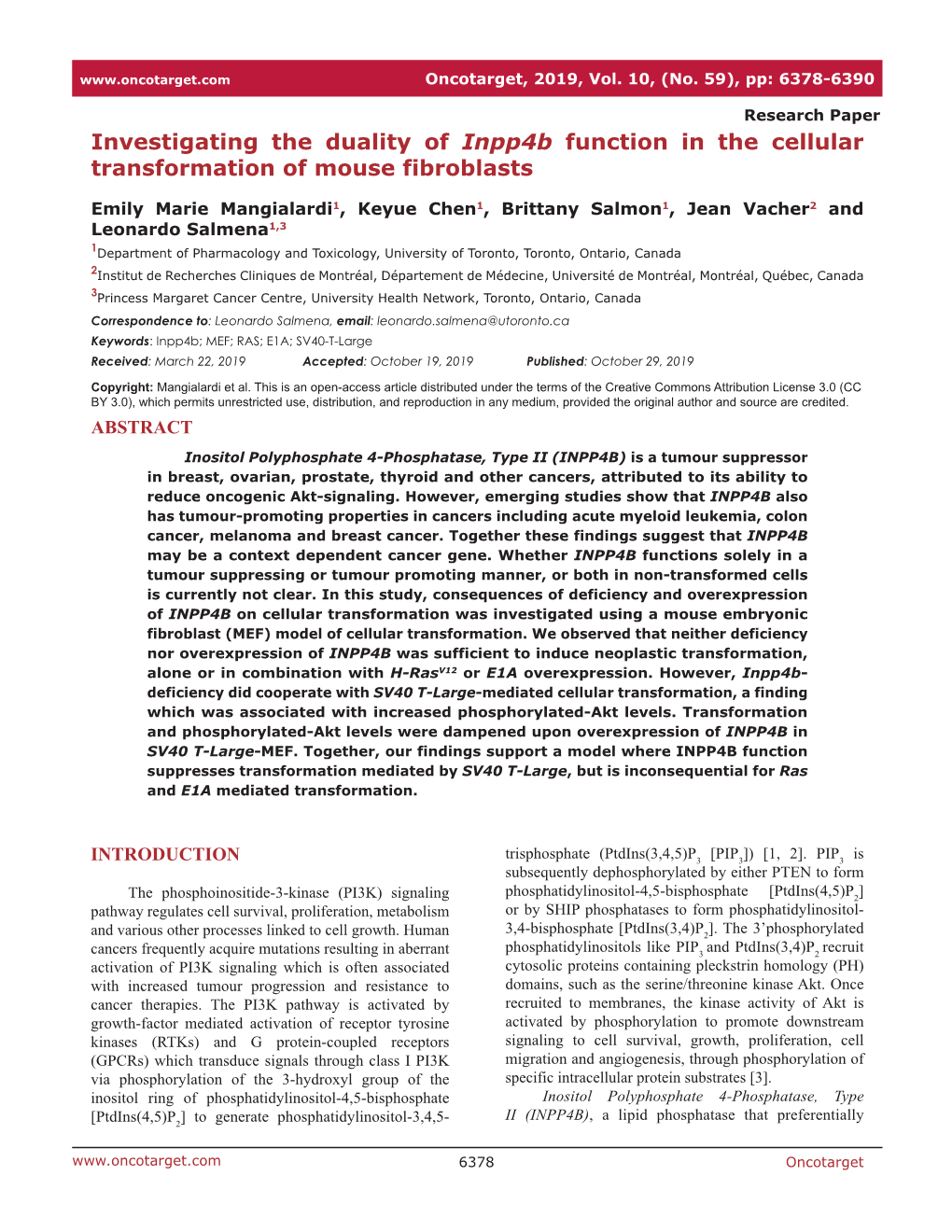 Investigating the Duality of Inpp4b Function in the Cellular Transformation of Mouse Fibroblasts