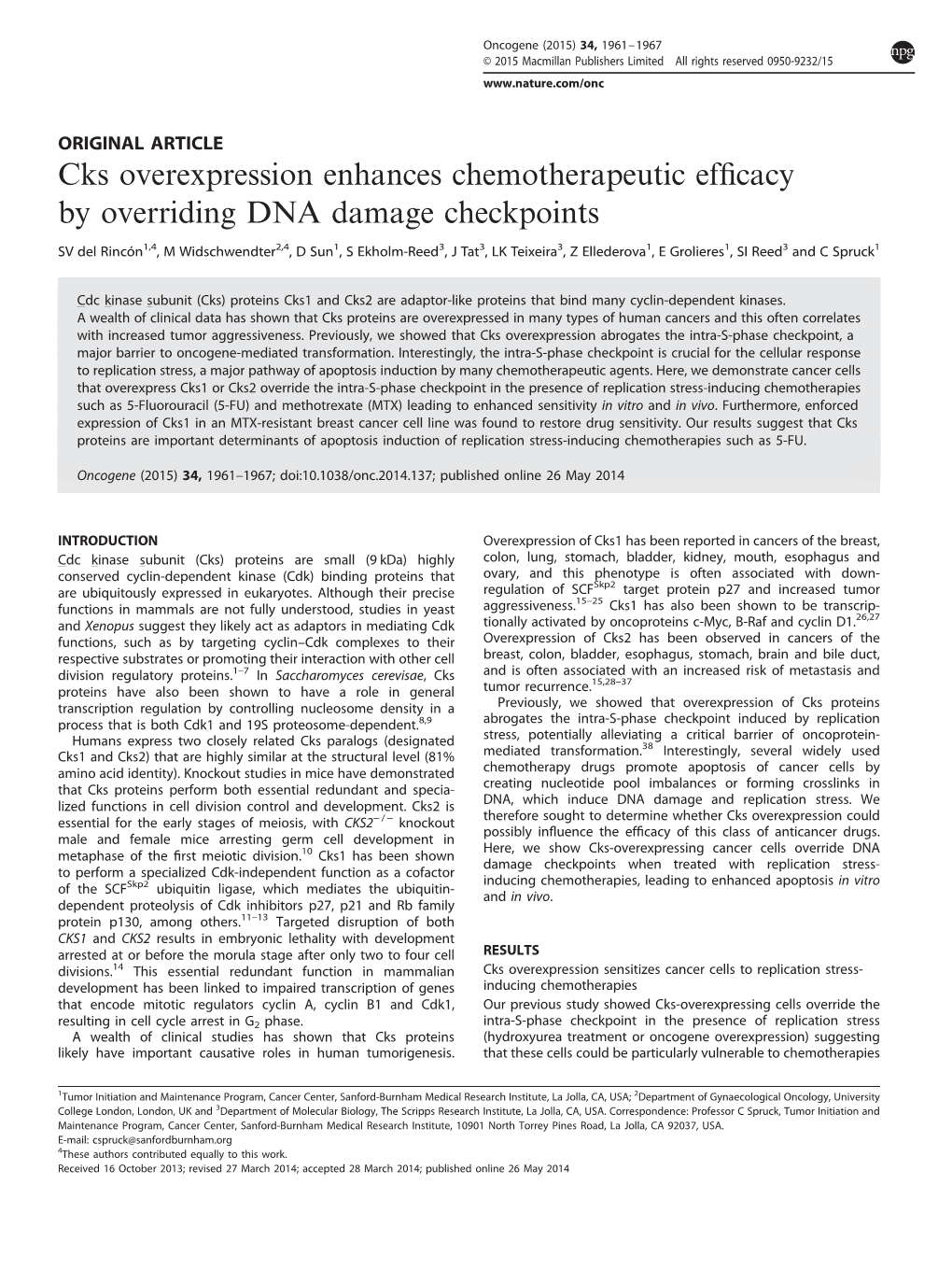 Cks Overexpression Enhances Chemotherapeutic Efficacy By