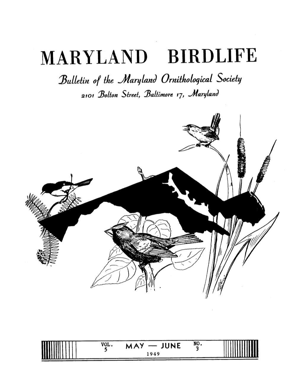 MARYLAND BIRDLIFE ~Ull~Tl,~ O{ Tk~ Yklar~Tla,~Domltkoloq~L Soclet~T