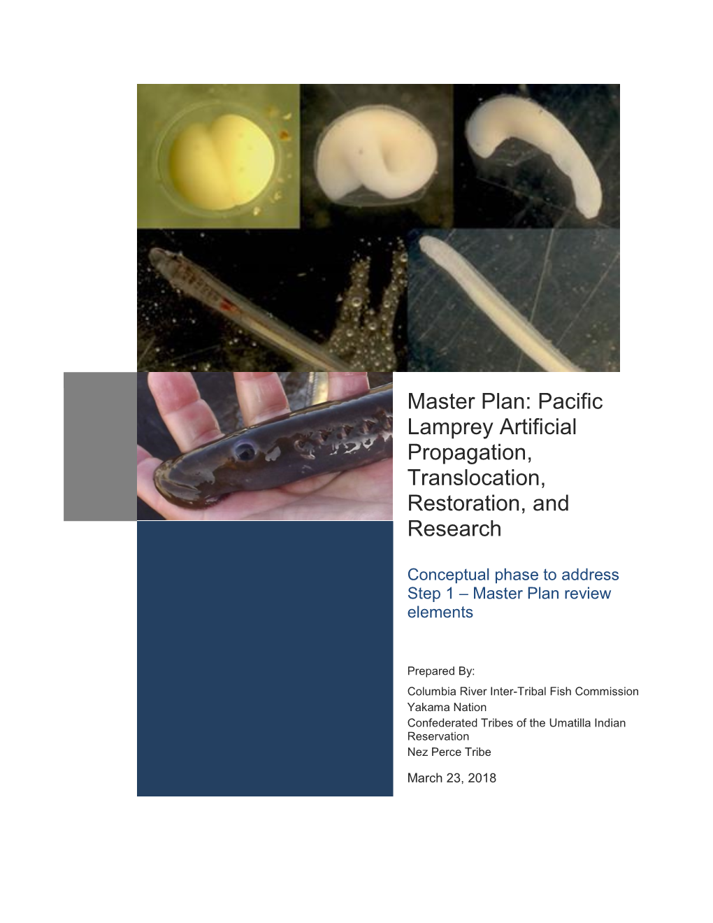 Master Plan: Pacific Lamprey Artificial Propagation, Translocation, Restoration, And