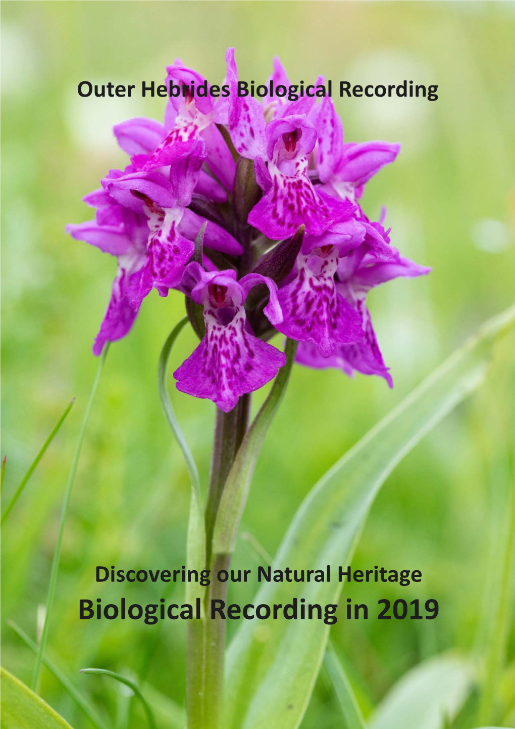 Biological Recording in 2019 Outer Hebrides Biological Recording