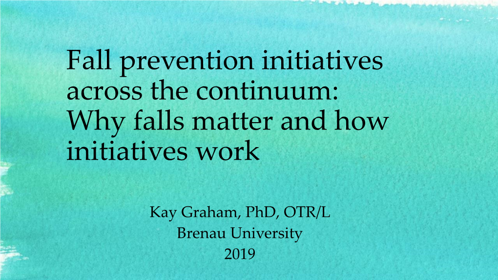 Fall Prevention Initiatives Across the Continuum: Why Falls Matter and How Initiatives Work