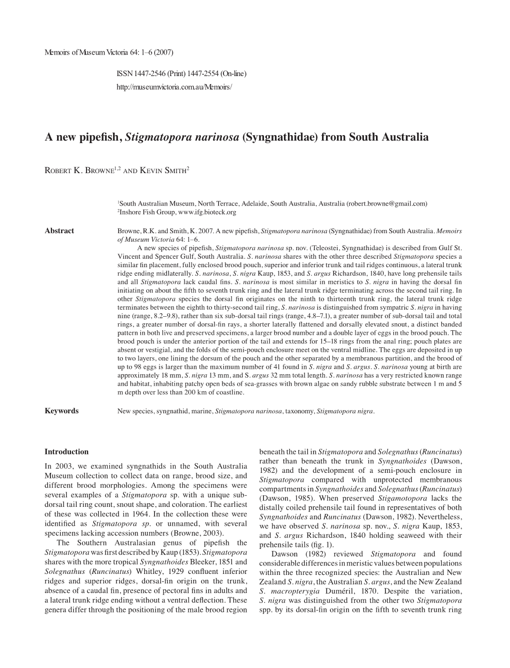 A New Pipefish, Stigmatopora Narinosa (Syngnathidae) from South Australia