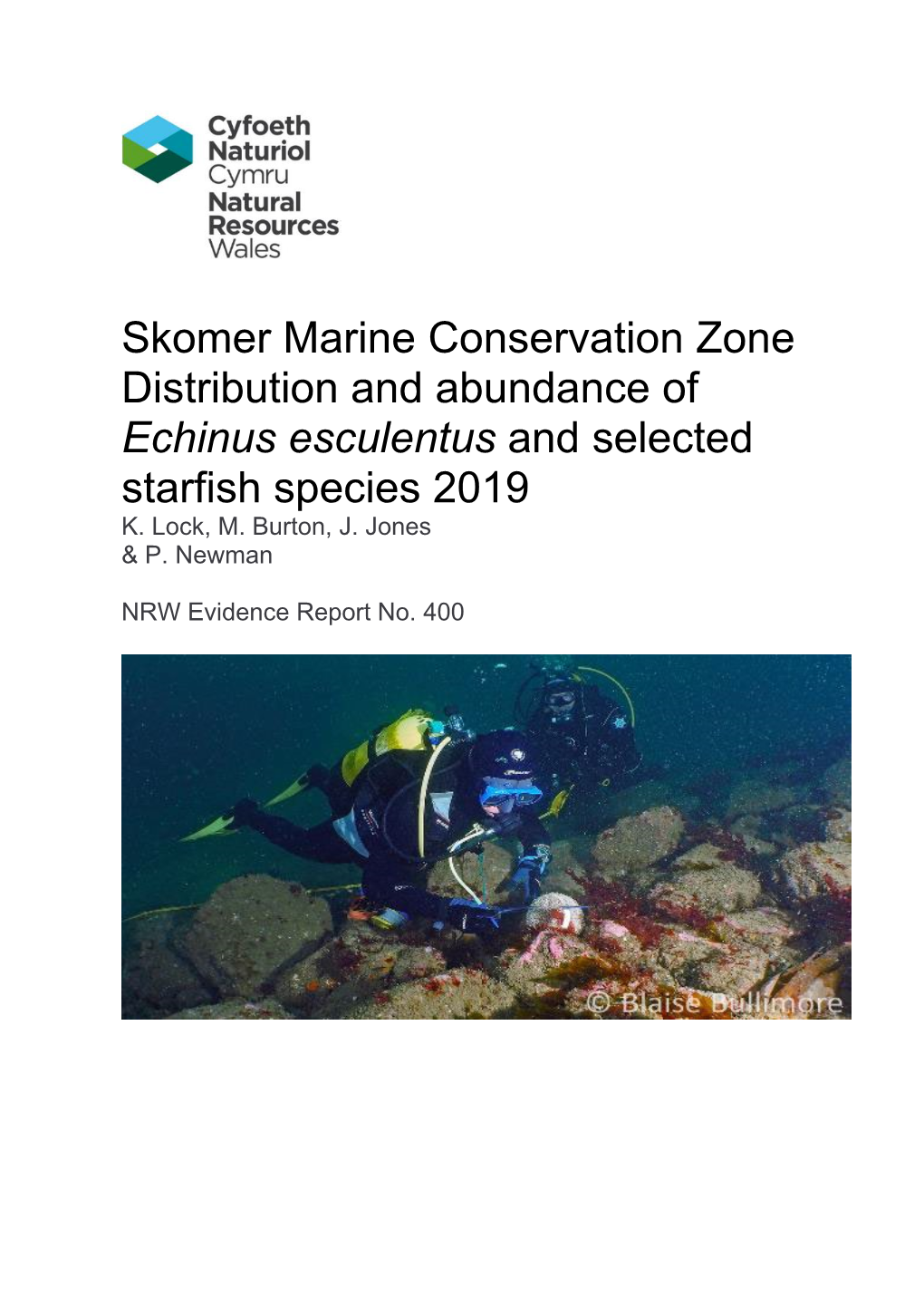 Skomer Marine Conservation Zone Distribution and Abundance of Echinus Esculentus and Selected Starfish Species 2019 K