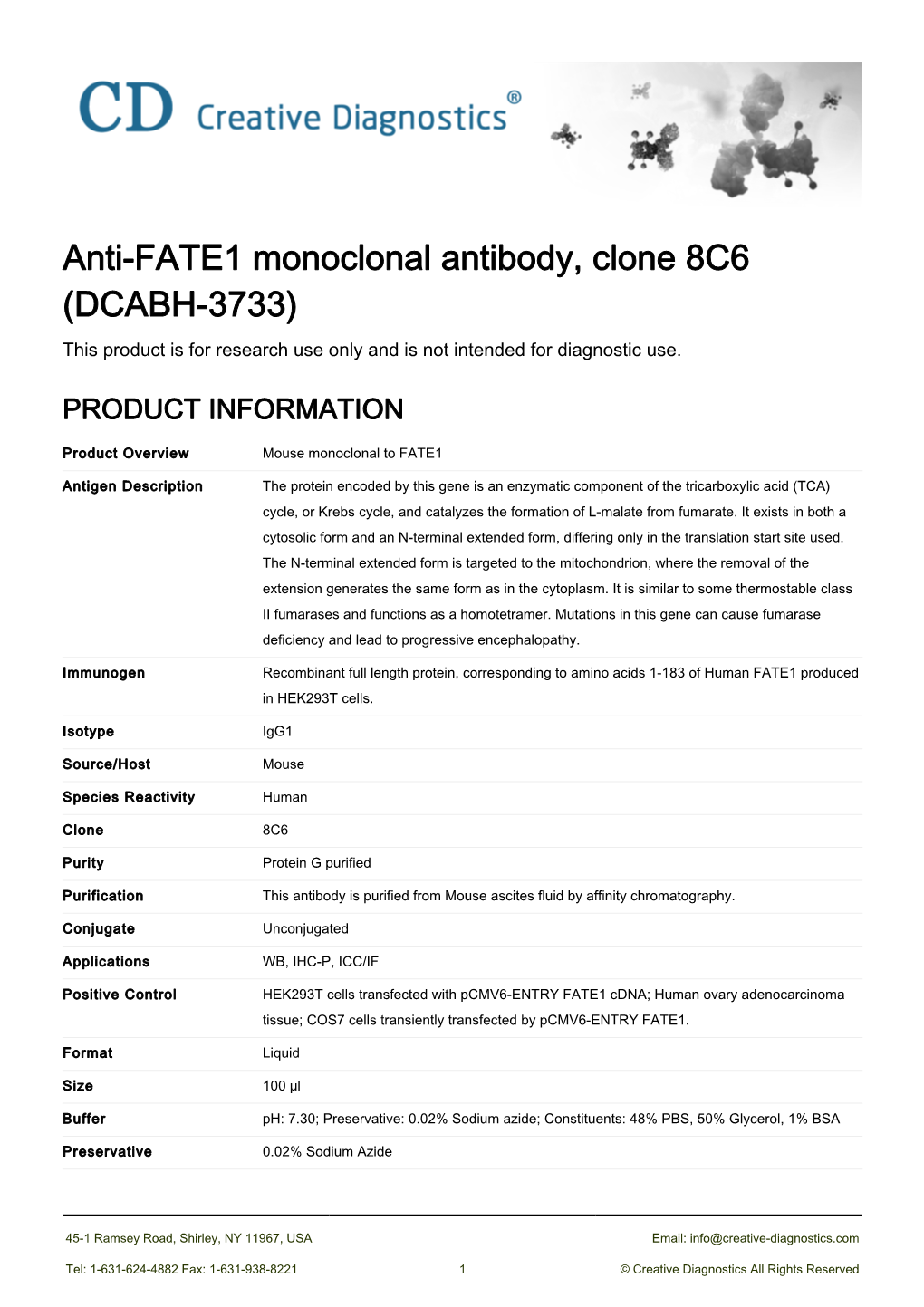 Anti-FATE1 Monoclonal Antibody, Clone 8C6 (DCABH-3733) This Product Is for Research Use Only and Is Not Intended for Diagnostic Use