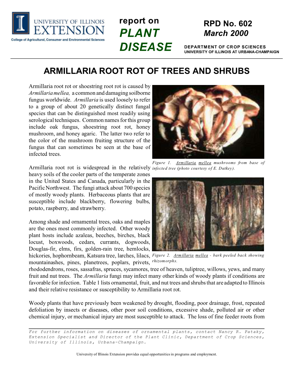 Armillaria Root Rot of Treees and Shrubs, RPD No
