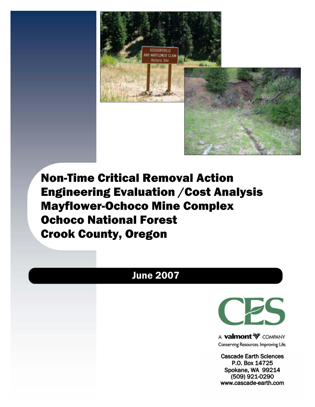 Final Engineering Evaluation & Cost Analysis