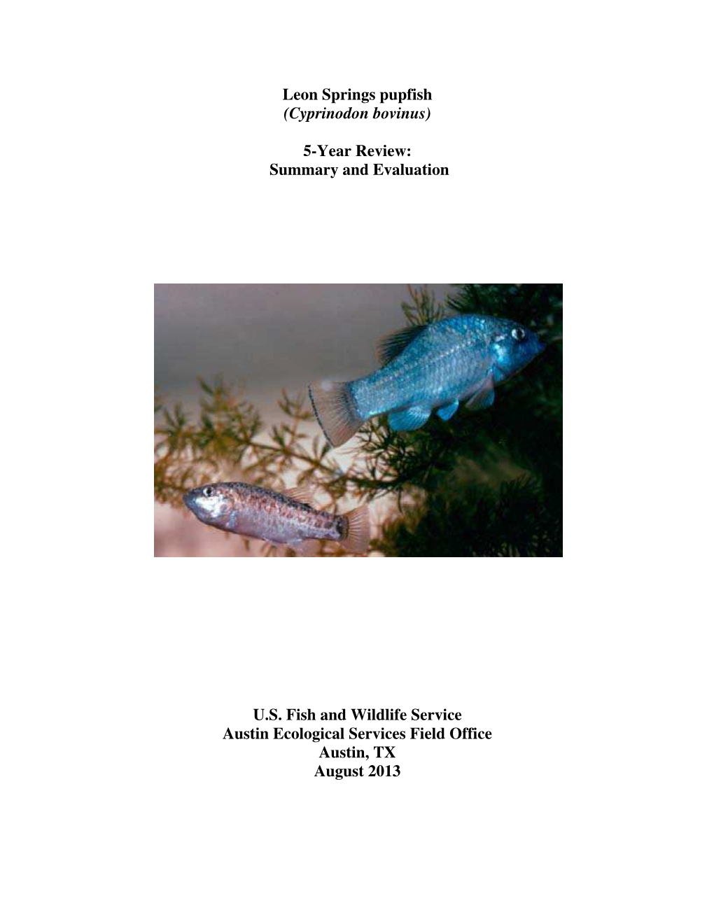 Leon Springs Pupfish (Cyprinodon Bovinus) 5-Year Review