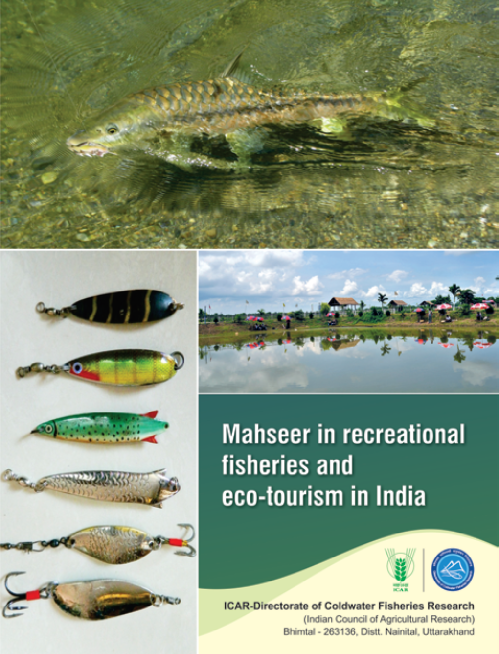 Mahseer in Recreational Fisheries and Eco-Tourism in India