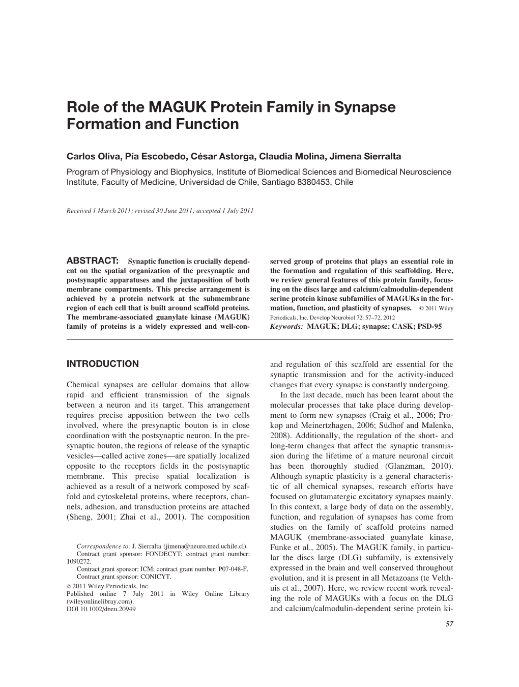 Role of the MAGUK Protein Family in Synapse Formation and Function