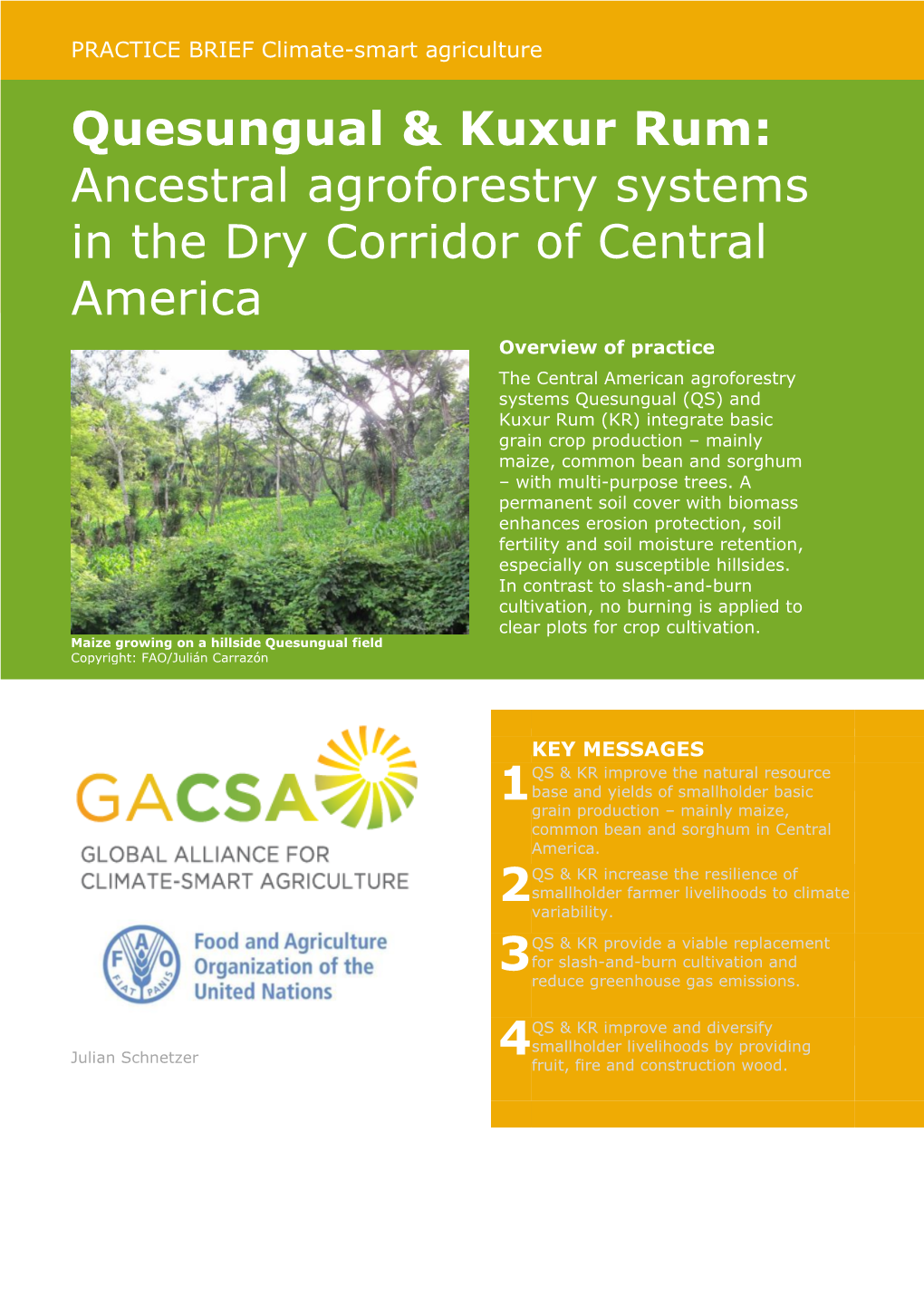 Ancestral Agroforestry Systems in the Dry Corridor of Central America