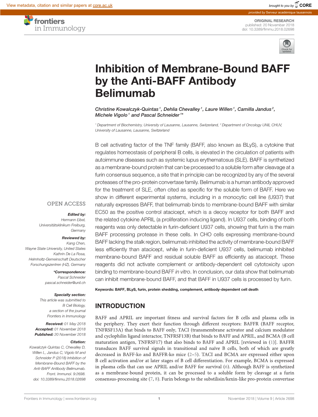 Inhibition of Membrane-Bound BAFF by the Anti-BAFF Antibody Belimumab