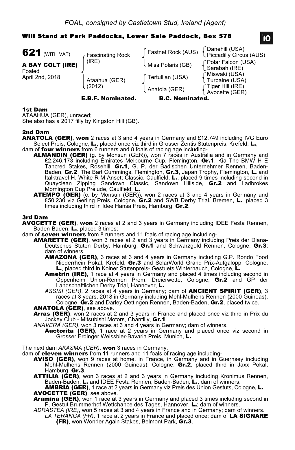 FOAL, Consigned by Castletown Stud, Ireland (Agent)